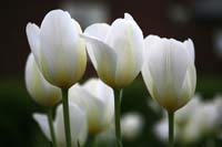 org:/landingpages/7e-prijs scandinavie.jpg